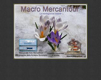 Macro Mercantour : Photos insectes